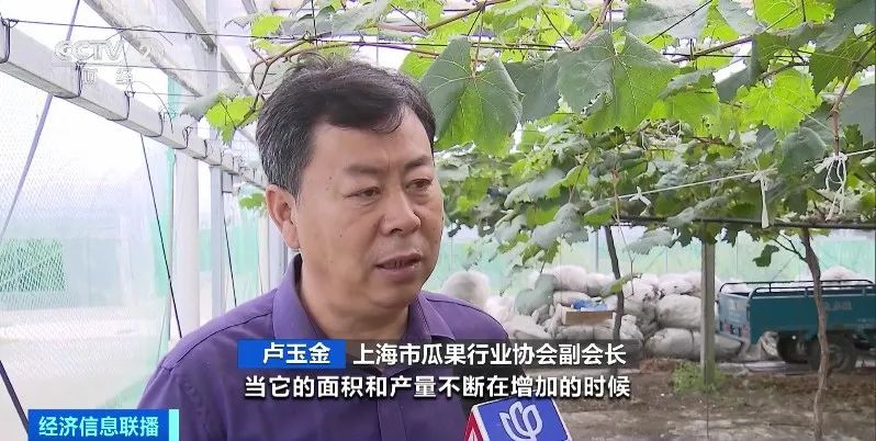 昆明信息港/cnkmxxg