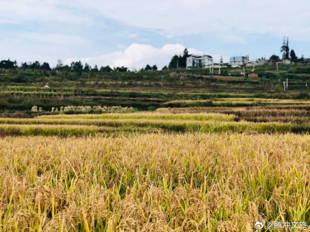 腾冲文旅