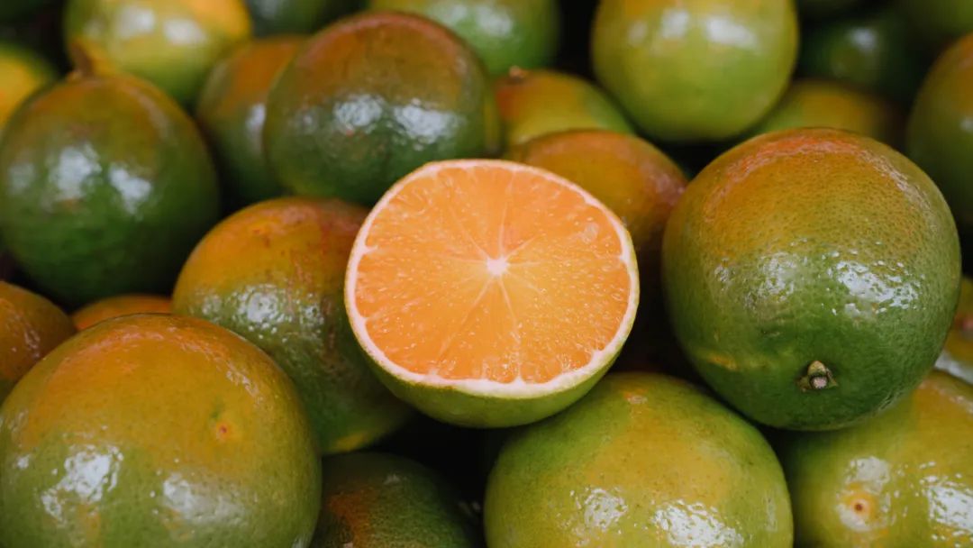 晋宁诗意的栖居地