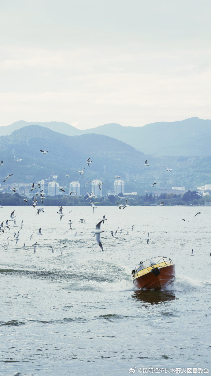 昆明经济技术开发区管委会