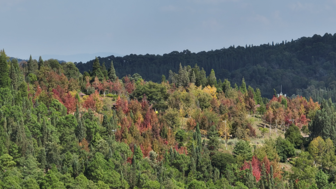昆明信息港/cnkmxxg