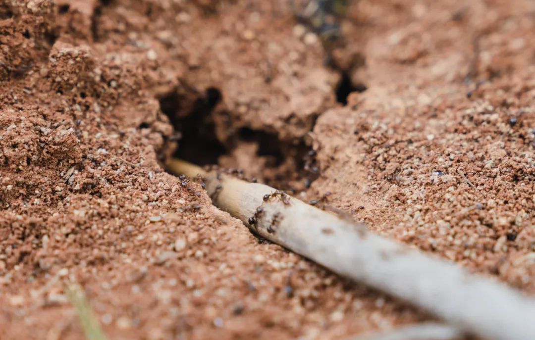 晋宁诗意的栖居地