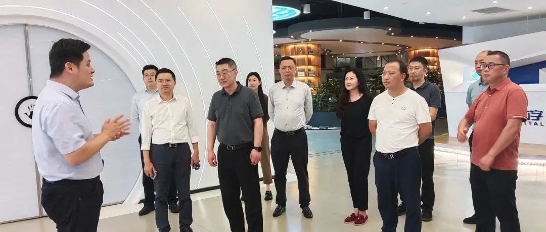 微观盘龙