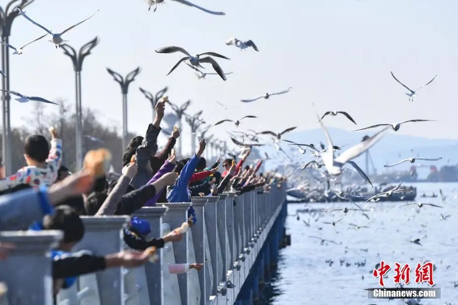 晋宁诗意的栖居地