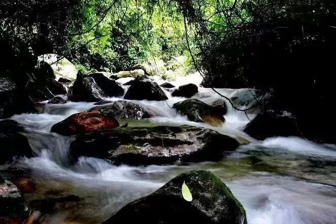 云南省文化和旅游厅