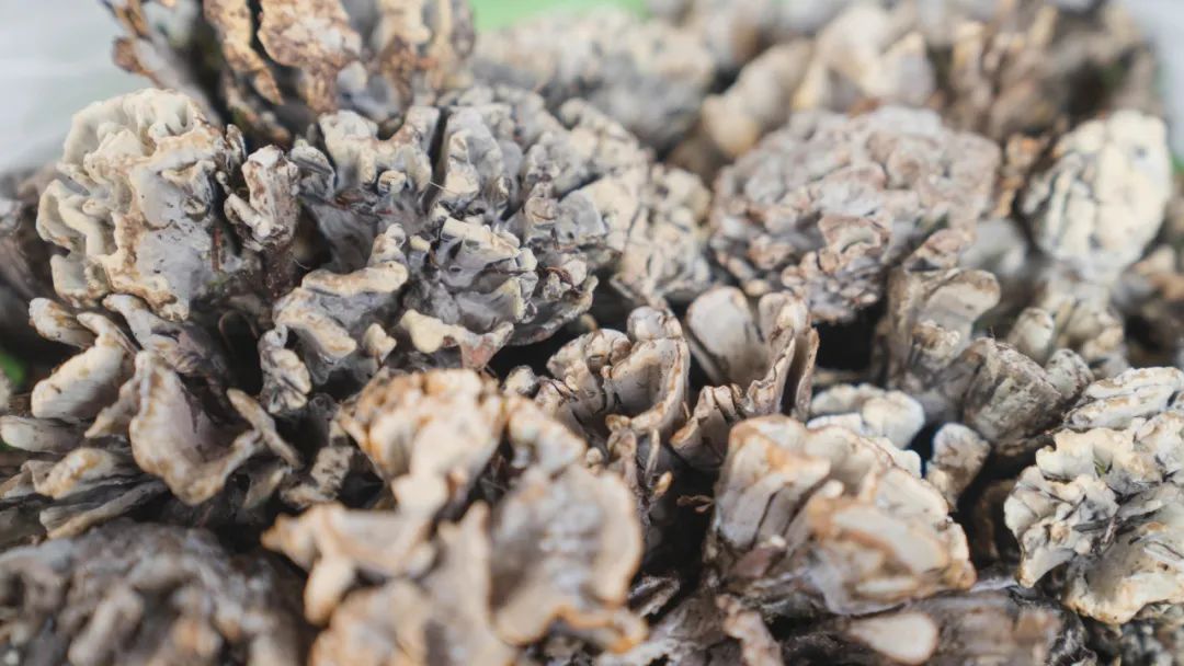 晋宁诗意的栖居地