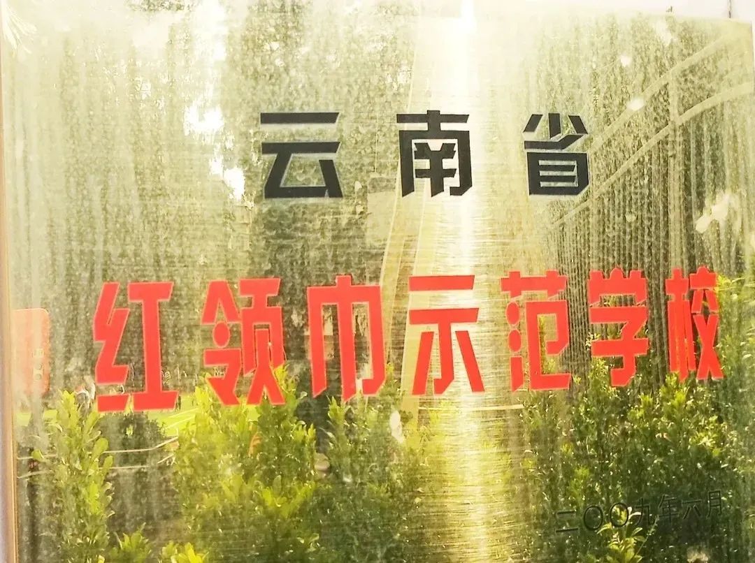 盘龙教育