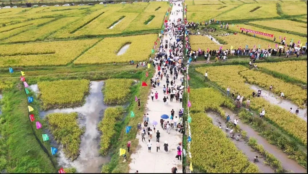 保山新闻网