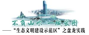 微观盘龙