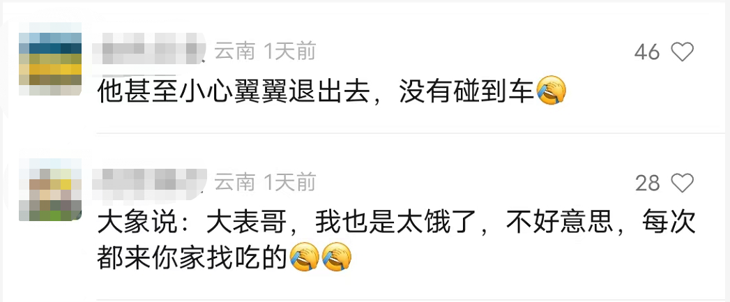掌上春城微信