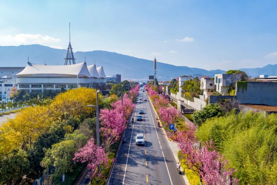 昆明文旅