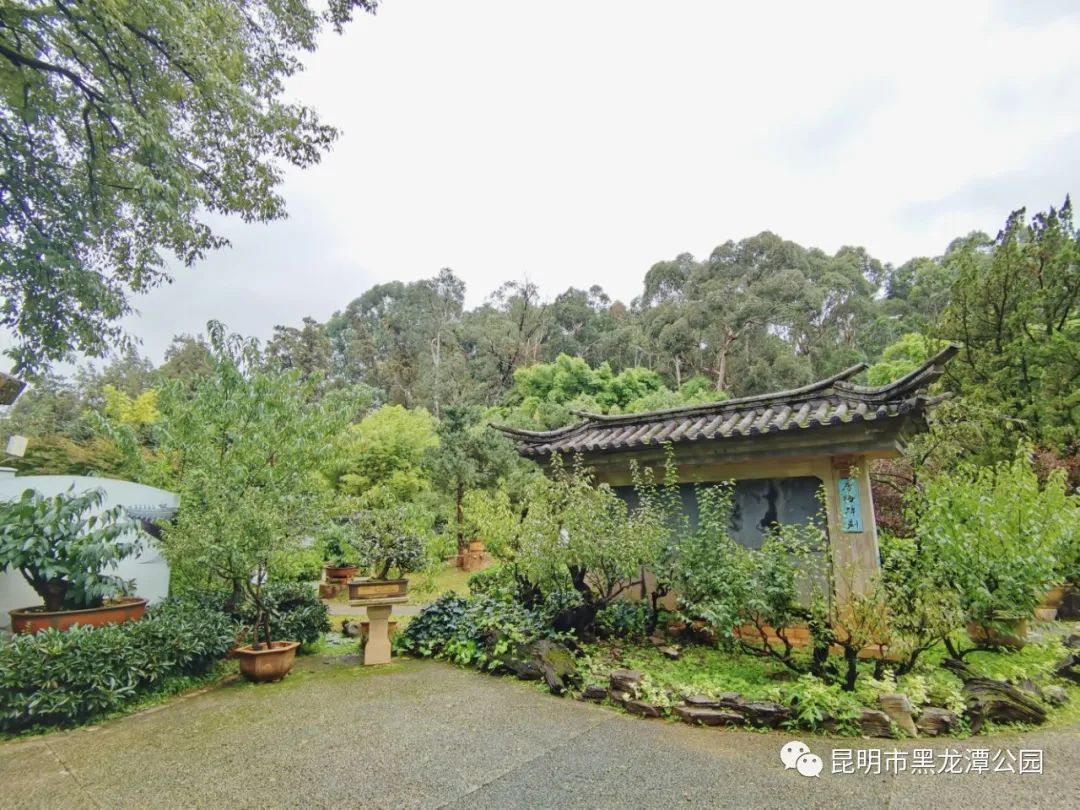 昆明市黑龙潭公园