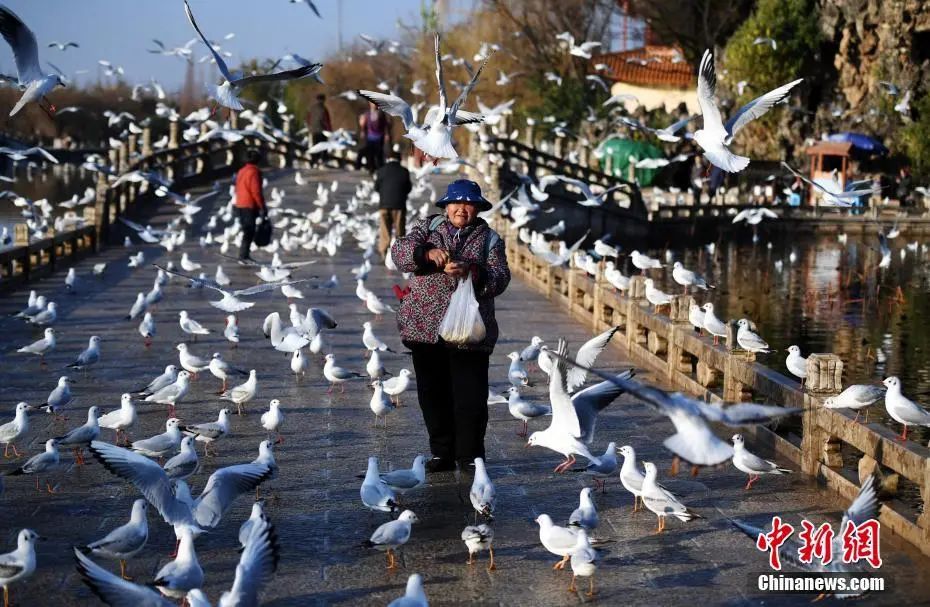 晋宁诗意的栖居地