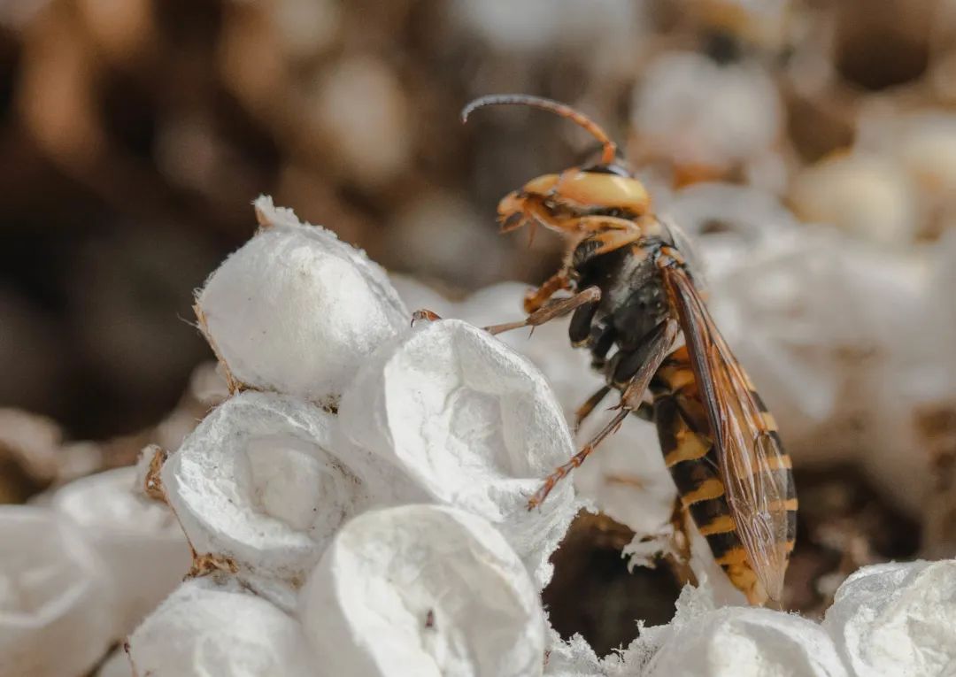 晋宁诗意的栖居地