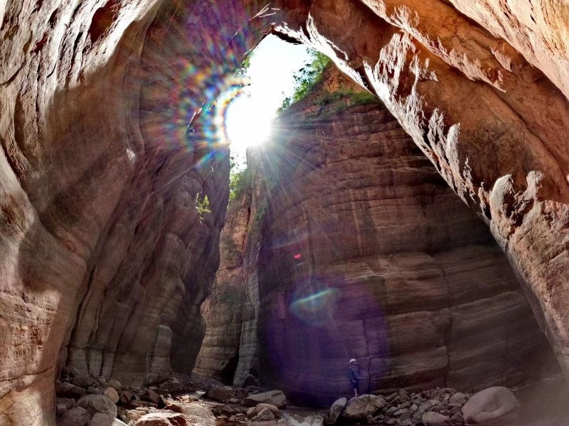 云南省文化和旅游厅
