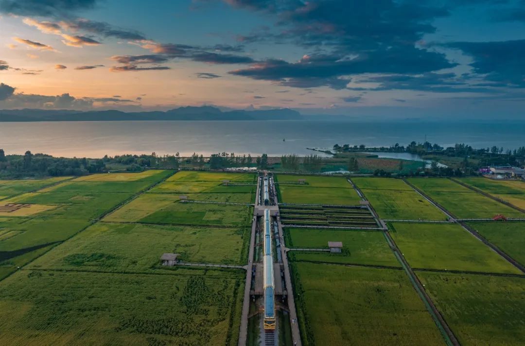 昆明公共文化云