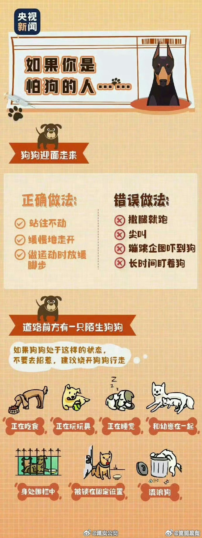 嵩明发布