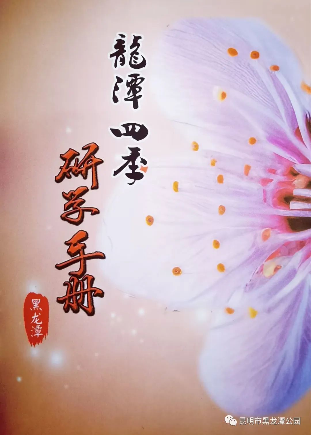 昆明市黑龙潭公园