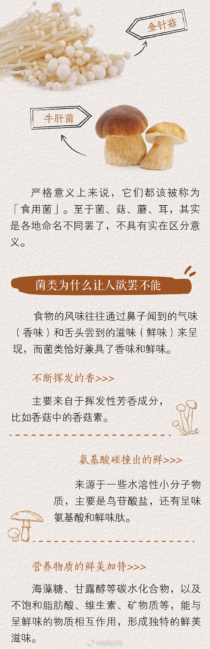 昆明交警