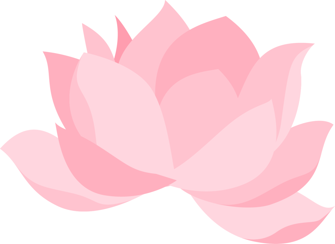 盘龙教育