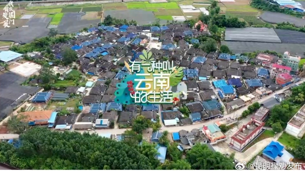 我在国门看发展丨时报记者Vlog第六期：跟着镜头感受一下尚冈村“精品示范村”建设成效
