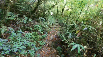云南政法
