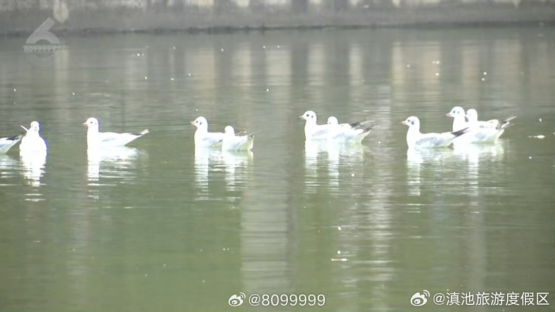 滇池旅游度假区