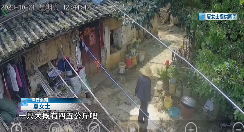 昆明信息港/cnkmxxg