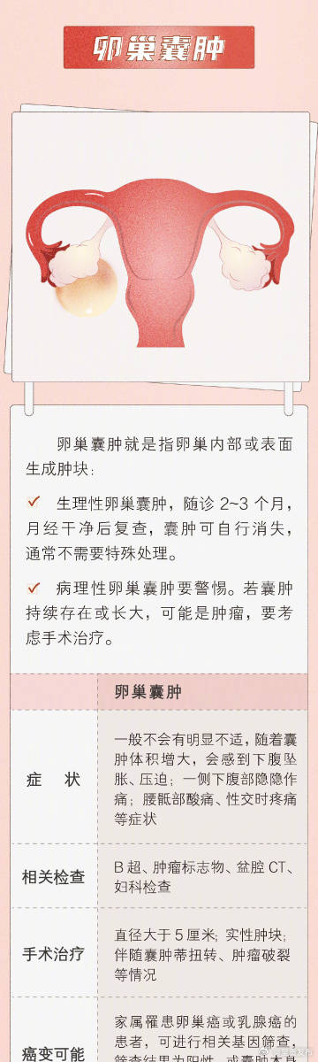呈贡发布