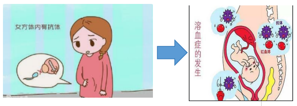 云南省文山州人民医院