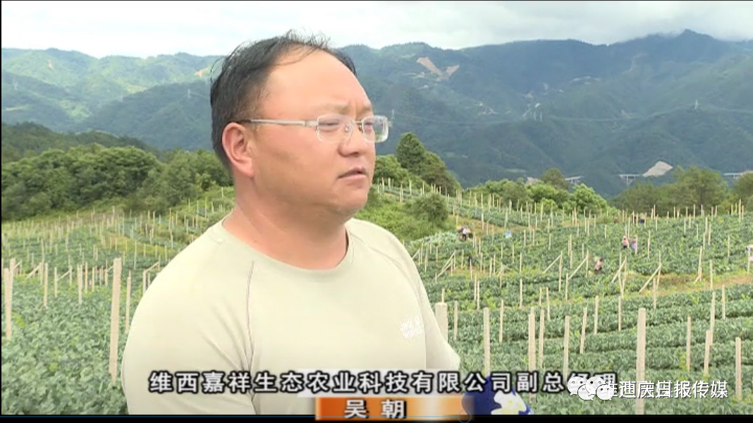 迪庆日报传媒