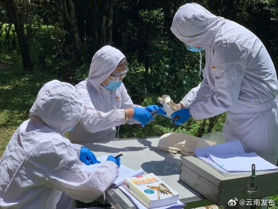 云南发布