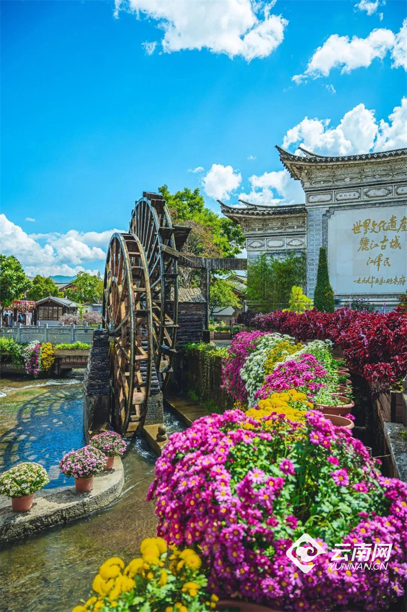 云南省文化和旅游厅