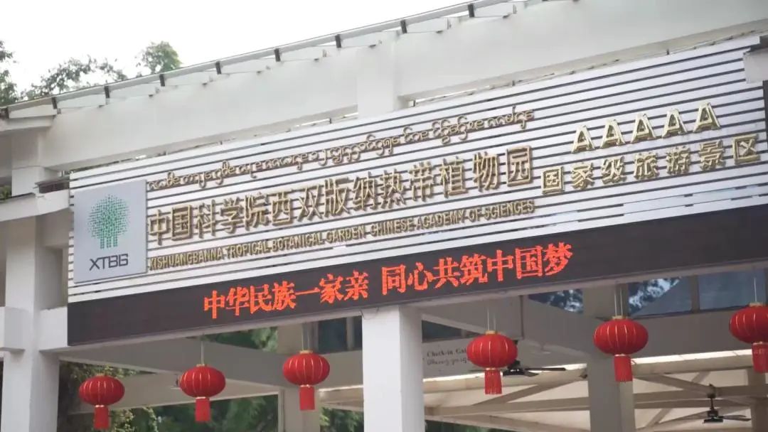 西双版纳先锋