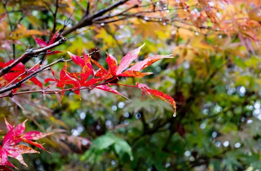 晋宁诗意的栖居地