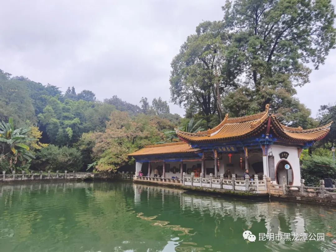 昆明市黑龙潭公园