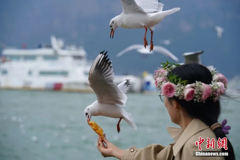 晋宁诗意的栖居地