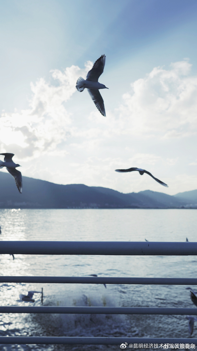 昆明经济技术开发区管委会