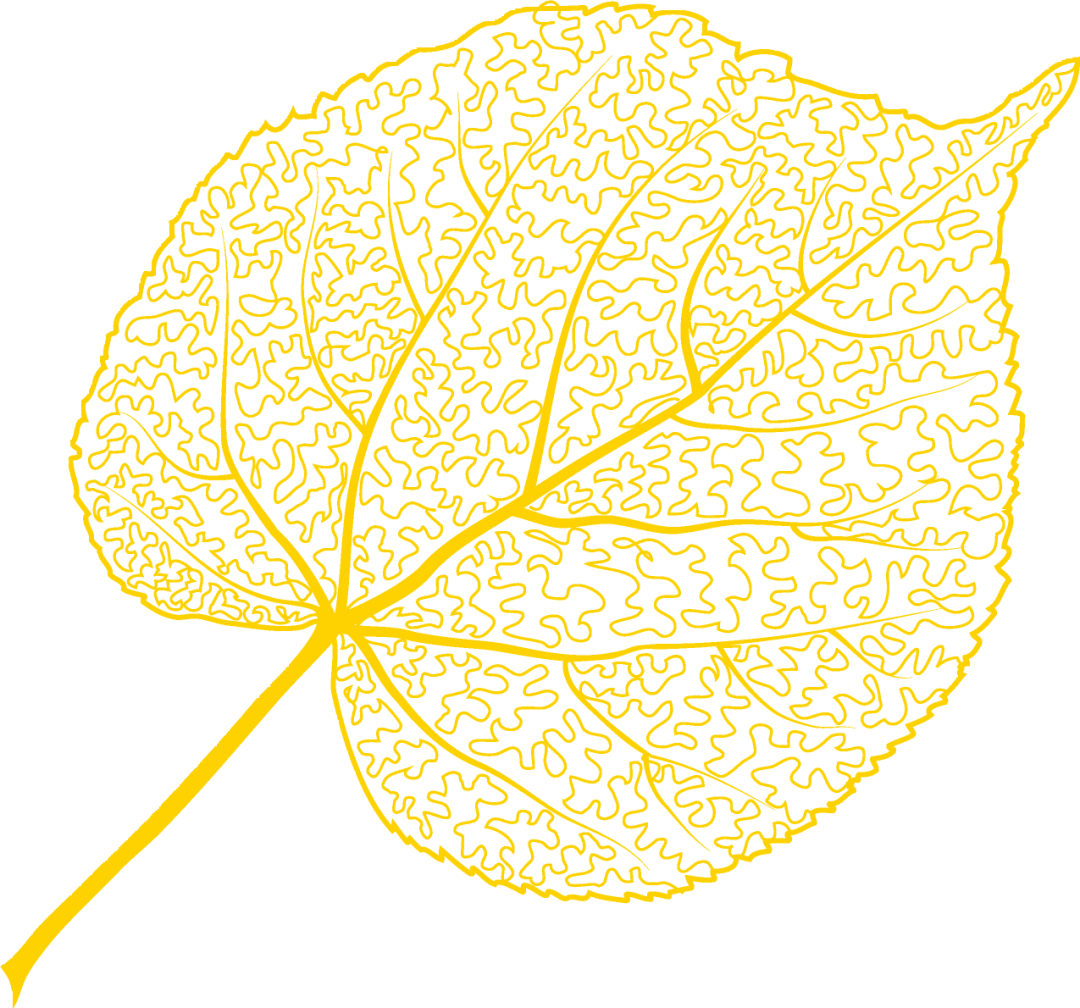 云南省中医医院