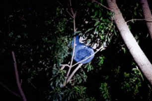 太危险！昆明一小区15楼飞下电视机