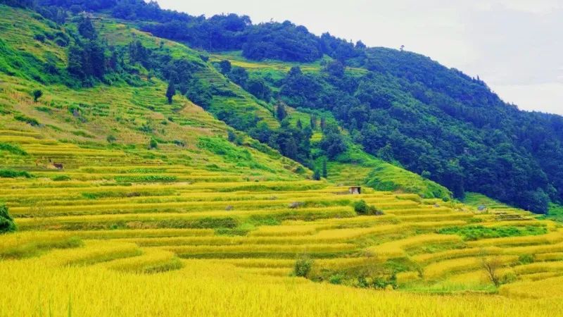红河文旅