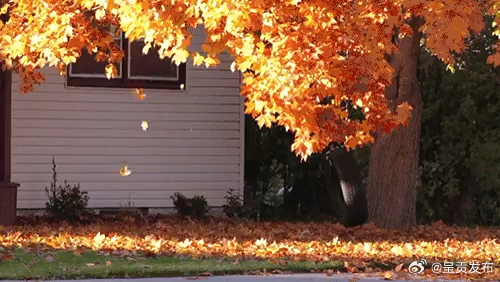 15度是秋冻气温分界线