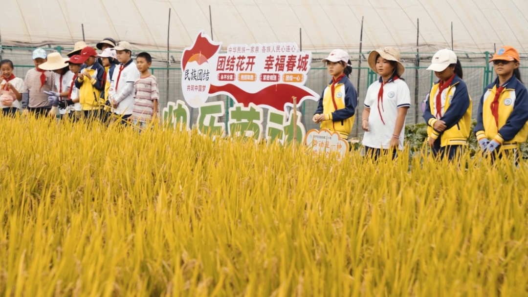 晋宁诗意的栖居地