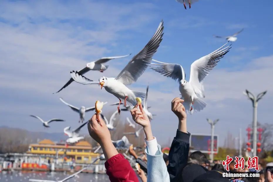 晋宁诗意的栖居地
