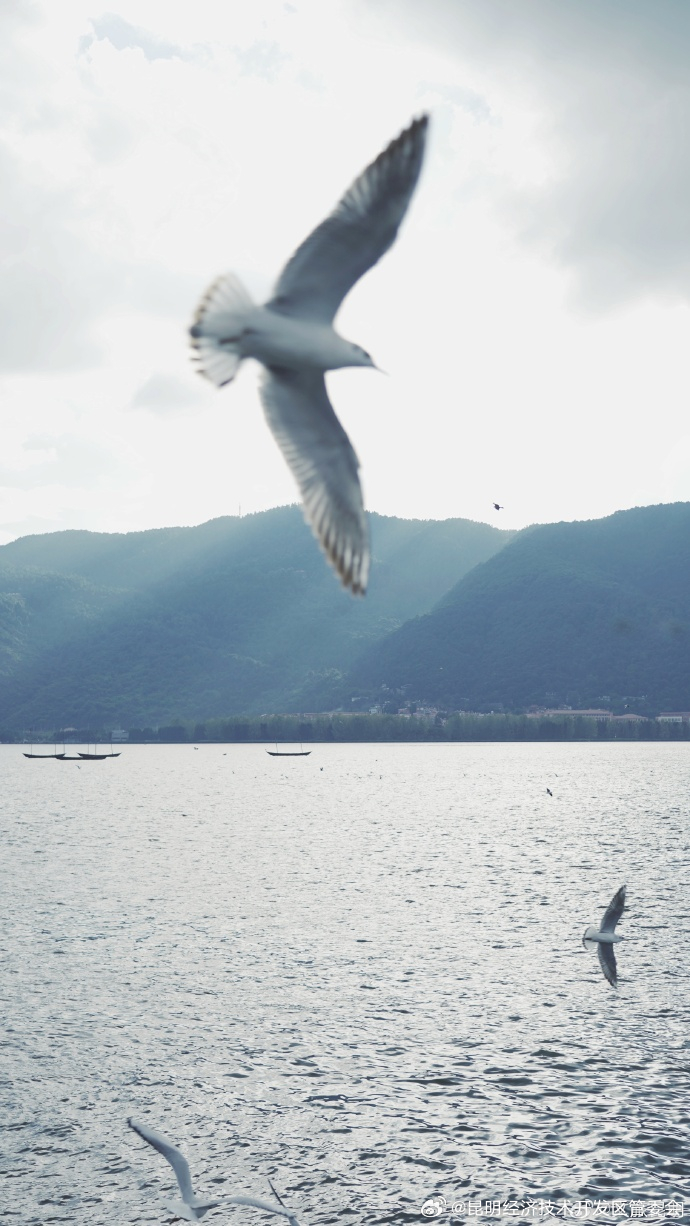 昆明经济技术开发区管委会
