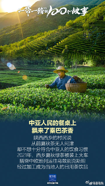 中亚人民的餐桌上飘来了秦巴茶香