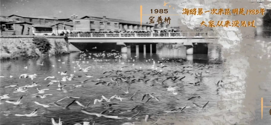 晋宁诗意的栖居地