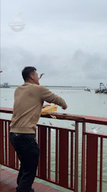 昆明文旅