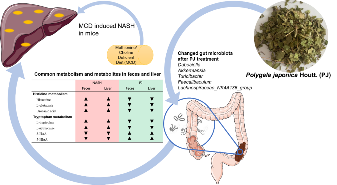云南省中医医院