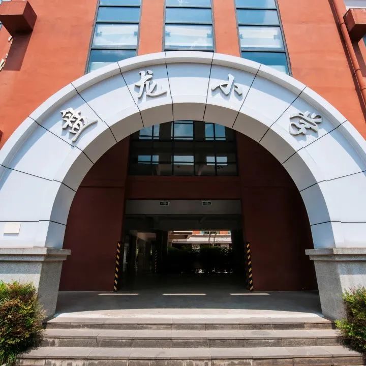 盘龙教育